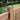 Deckorators 4" x 4" Hatteras Castine Cedar Wood Post Cap on Wood Post #color_cedar