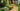 Deckorators Artificial Address Landscape Rock along walkway to house