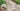 Medium Artificial Landscape Rock in Grey Adjacent to Paver Pathway #color_gray-rock