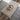 Deckorators Varied-Width Voyage Decking in Tundra with Coffee Table