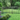 Yard with Trees Outlined with Deckorators 48" Aluminum Fencing #color_textured-black