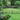 Yard with Trees Outlined with Deckorators 54" Aluminum Fencing #color_textured-black