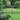 Yard with Trees Outlined with Deckorators 60" Aluminum Fencing #color_textured-black