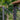 Modern deck railing with dark gray posts, stainless steel cables, and a natural wood top rail, shown outdoors with a blurred green forest background. 
#color_textured-black