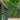 Close-up of Deckorators Contemporary Cable Rail in Textured Black #color_textured-black