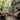 Green house with outdoor fireplace that has deck made of Deckorators Elevate decking in Basin Brown #color_basin-brown