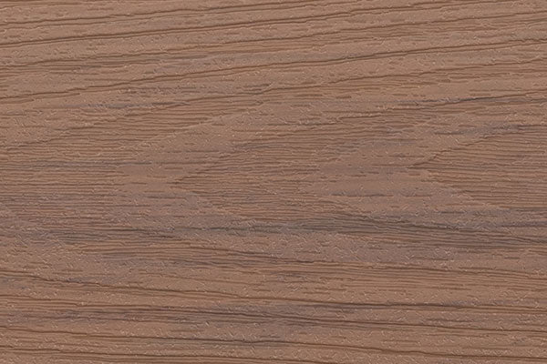 Sequoia